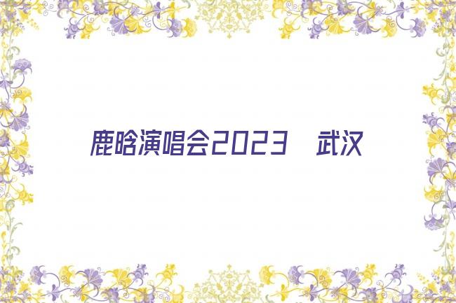 鹿晗演唱会2023  武汉剧照